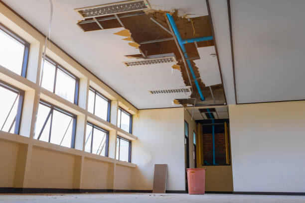 Best Emergency water damage restoration  in Troy, TN