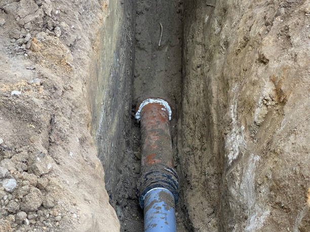 Best Flood restoration services  in Troy, TN