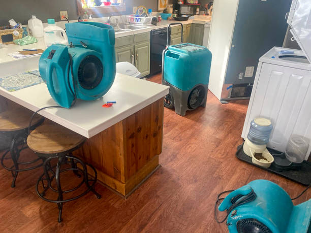 Best Flooded house restoration  in Troy, TN