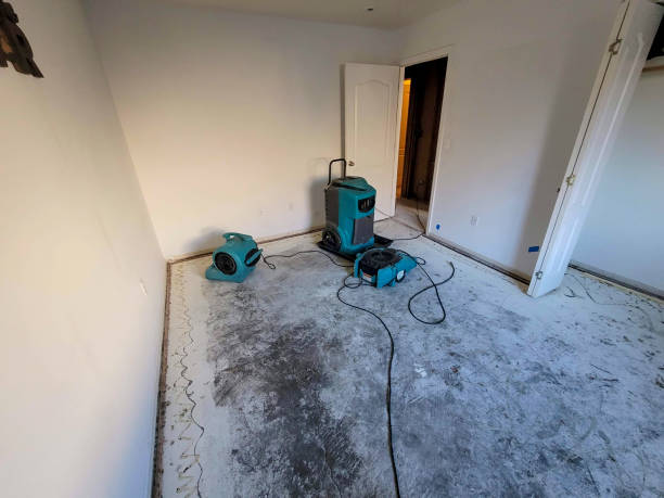 Best Water damage contractors near me  in Troy, TN