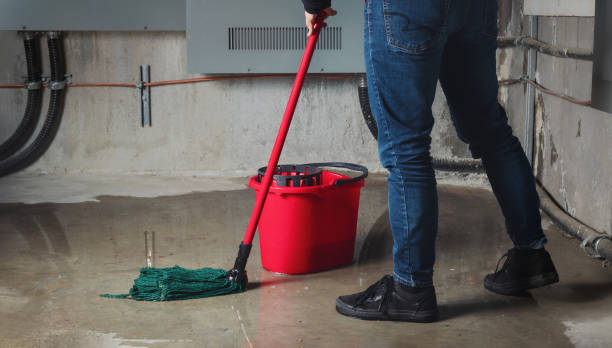 Best Flood damage cleanup  in Troy, TN