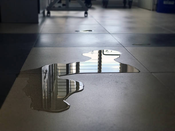 Best 24/7 water damage repair  in Troy, TN