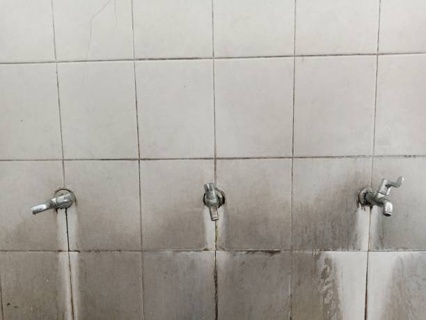 Best Flood damage cleanup  in Troy, TN