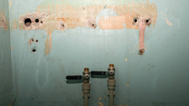 Best Sewage cleanup and water damage restoration  in Troy, TN