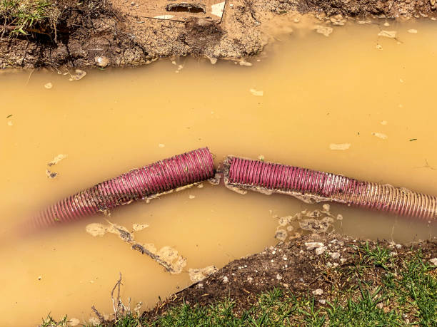 Best 24-hour water damage restoration  in Troy, TN