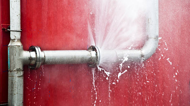 Best 24/7 water damage repair  in Troy, TN
